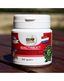 BioTabs Bactrex Picture