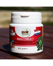 BioTabs Bactrex Product Thumbnail