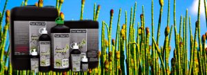 Green Buzz Liquids Fast Start Gel Product Thumbnail