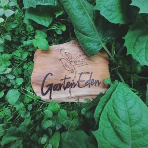 Garten Eden Growshop Galerie